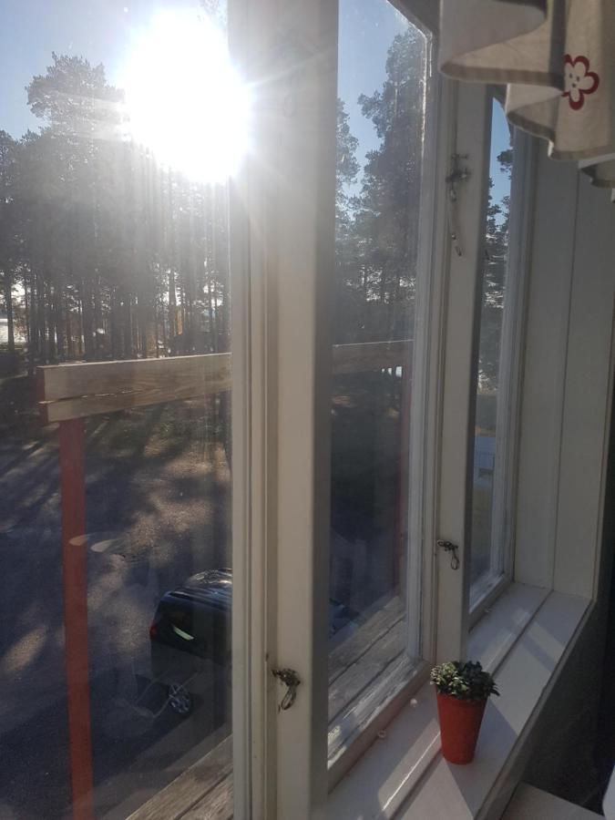 Furudals Vandrarhem Och Sjoecamping Экстерьер фото