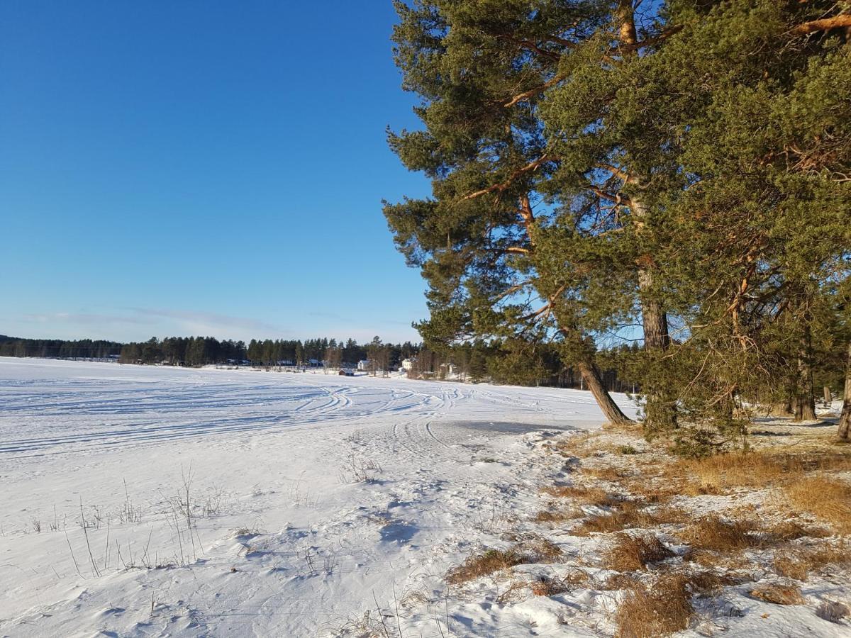 Furudals Vandrarhem Och Sjoecamping Экстерьер фото